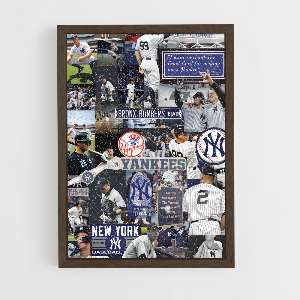 Poster La Passion du Baseball (vue 5)